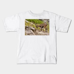 Ibex Kids T-Shirt